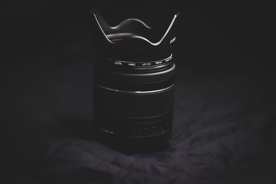 The Art of Budget-Friendly Photography: Capturing Moments Without Breaking the Bank