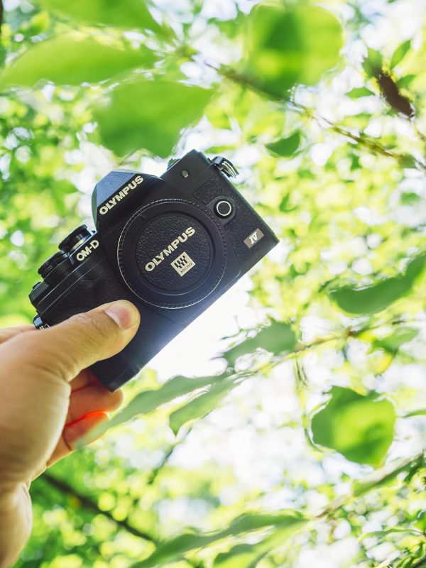 Olympus OM-D E-M10 Mark IV Black Camera Body - Image 5